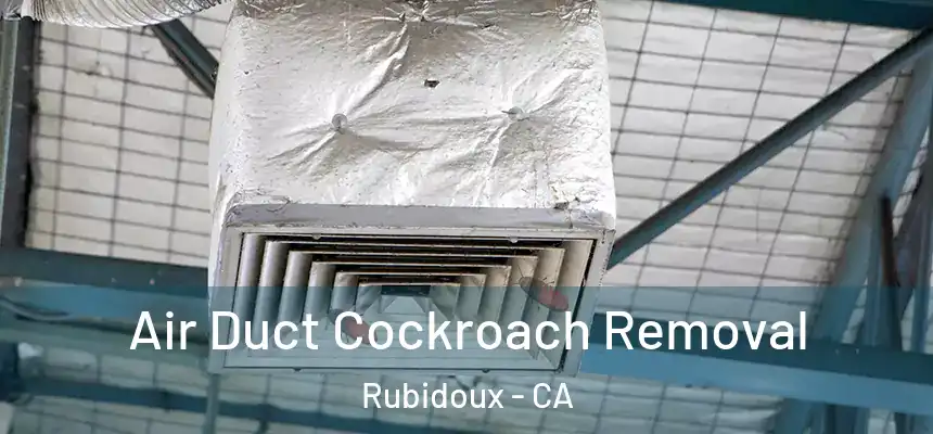  Air Duct Cockroach Removal Rubidoux - CA