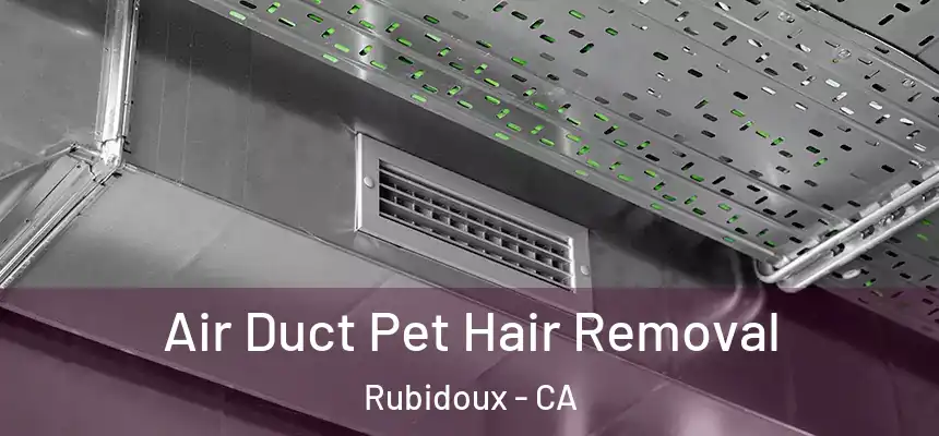 Air Duct Pet Hair Removal Rubidoux - CA