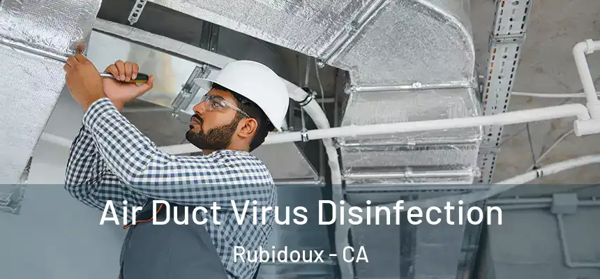  Air Duct Virus Disinfection Rubidoux - CA