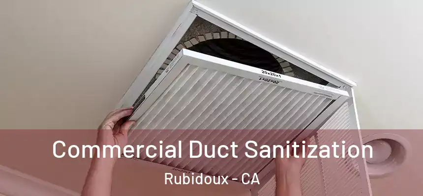 Commercial Duct Sanitization Rubidoux - CA