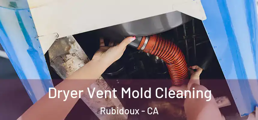  Dryer Vent Mold Cleaning Rubidoux - CA