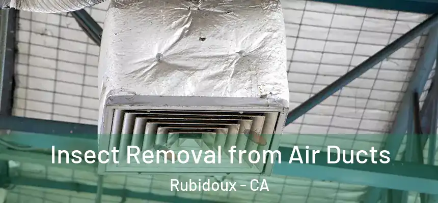  Insect Removal from Air Ducts Rubidoux - CA