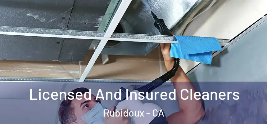  Licensed And Insured Cleaners Rubidoux - CA
