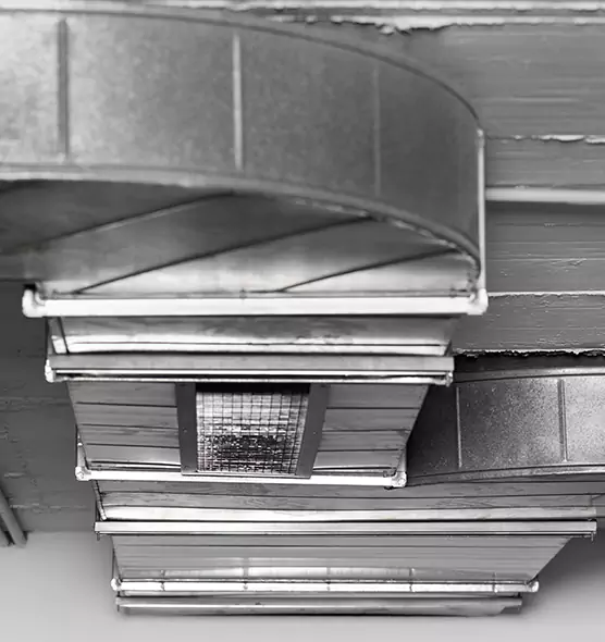 Professional Air Duct Pet Hair Removal in Rubidoux, CA