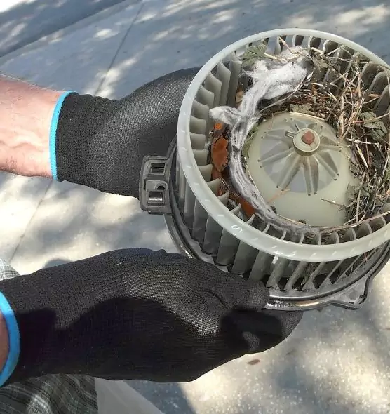 About Air Duct Rat Removal in Rubidoux, CA