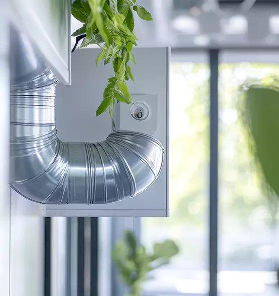 Professional Eco-Friendly Duct Cleaning Services in Rubidoux, CA