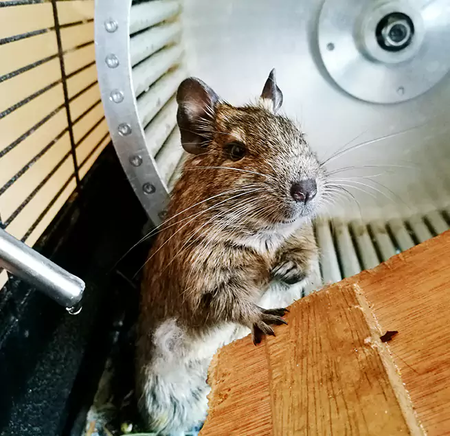 Why Homeowners & Businesses Trust Us Rubidoux, CA