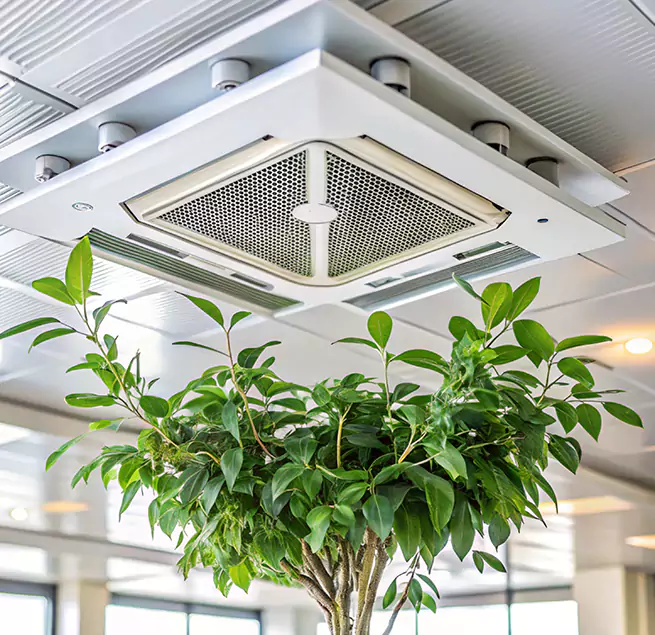 Why Homeowners & Businesses Trust Us in Rubidoux, CA